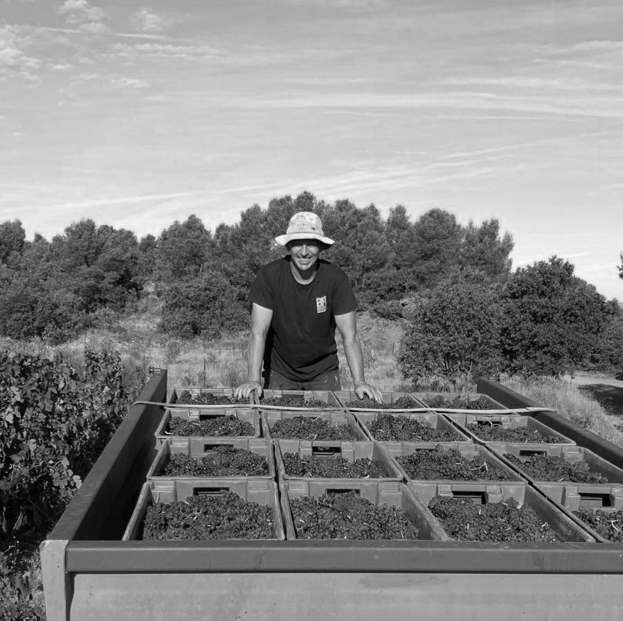 Benoît Homs dans ses vignes, photographie en noir et blanc