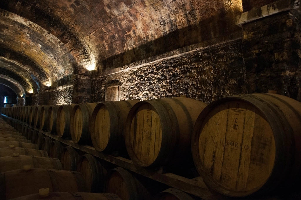 Barriques de chêne dans le chai